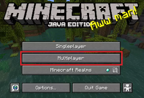 How to connect Minecraft 1