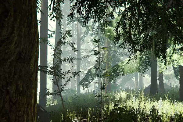 The Forest features image