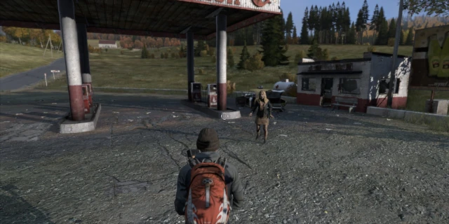 How to reset map and player data a DayZ server poster