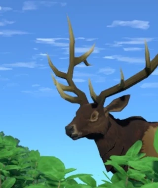 Header image